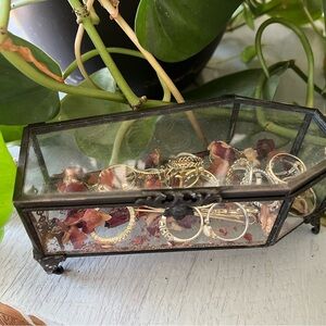 Regal Rose Coffin Shaped Glass and Black Metal Jewelry Box